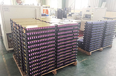 Qinhuangdao Mailang Technology Co., Ltd.