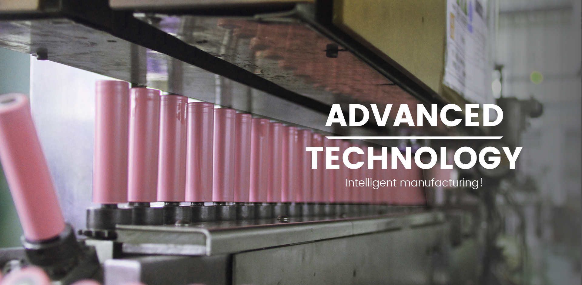 Electric Low Speed Vehicle Batteries