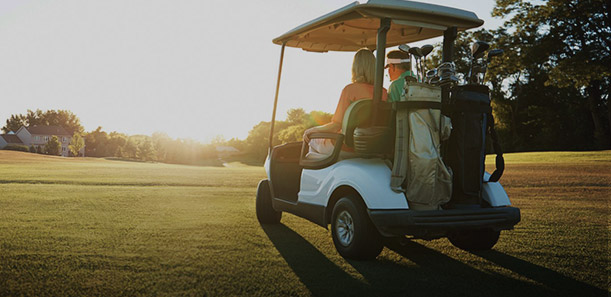 Electric Low Speed Vehicle Battery