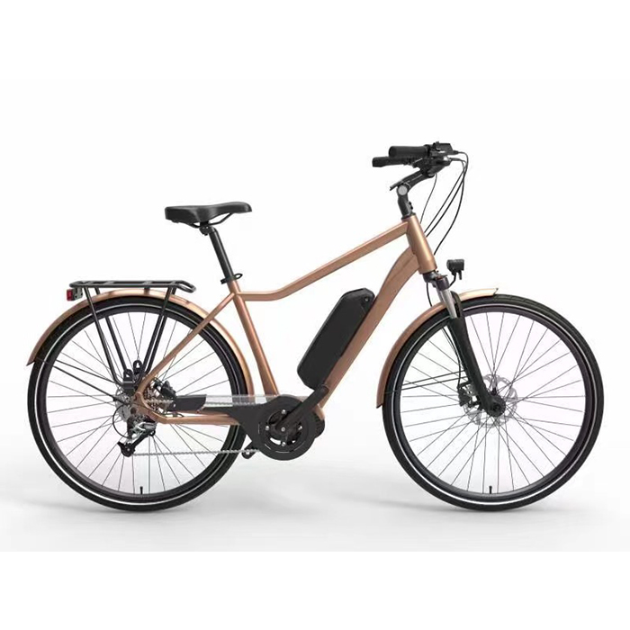 MATE-HAILONG-I 36V20Ah Down tube Style E-bike Lithium ion Battery