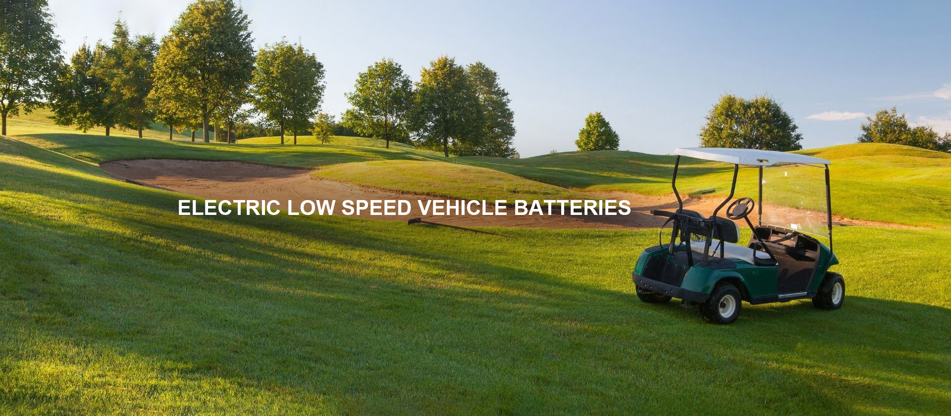 Electric Low Speed Vehicle Batteries